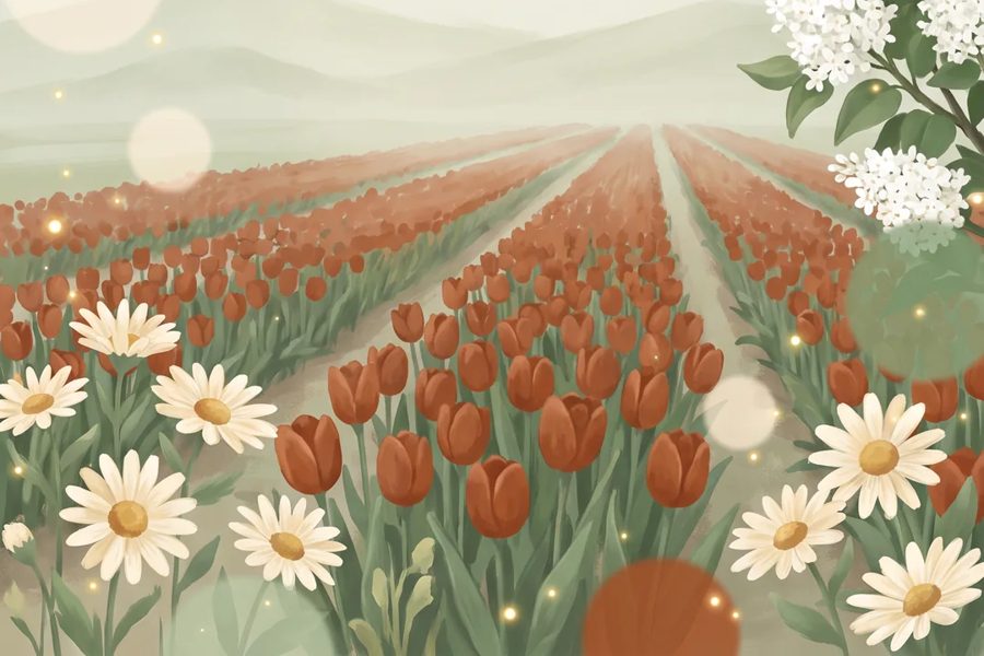 Tulip meadow from Tulipmere